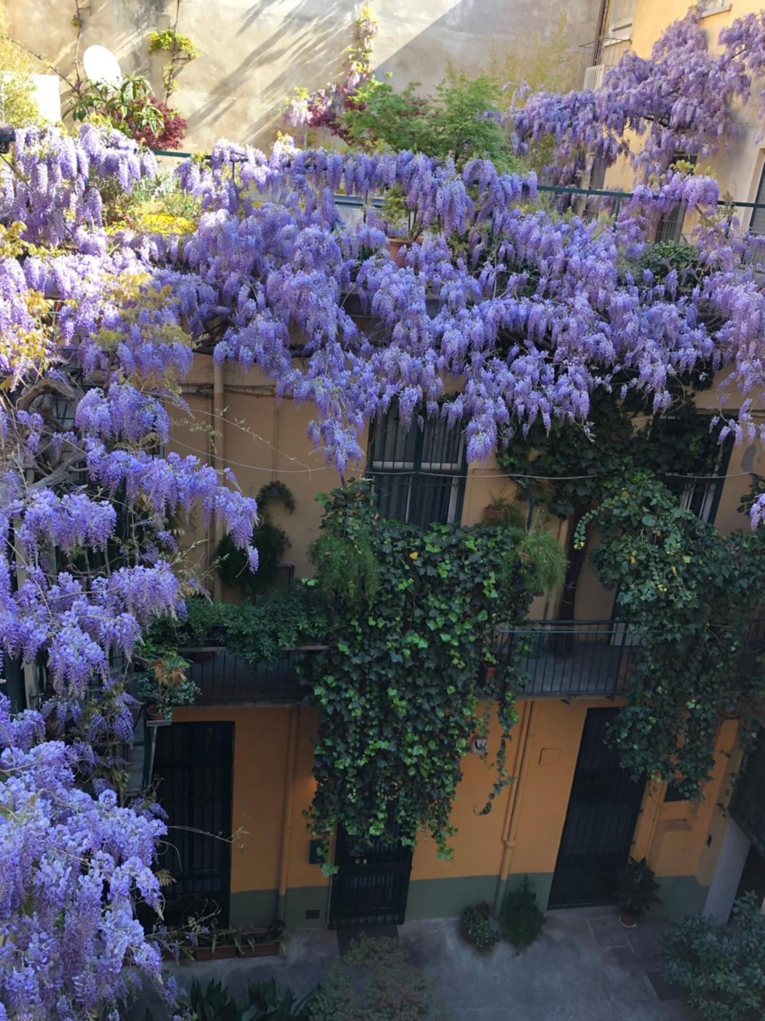 La Casa Degli Angeli Apartment ตูริน ภายนอก รูปภาพ