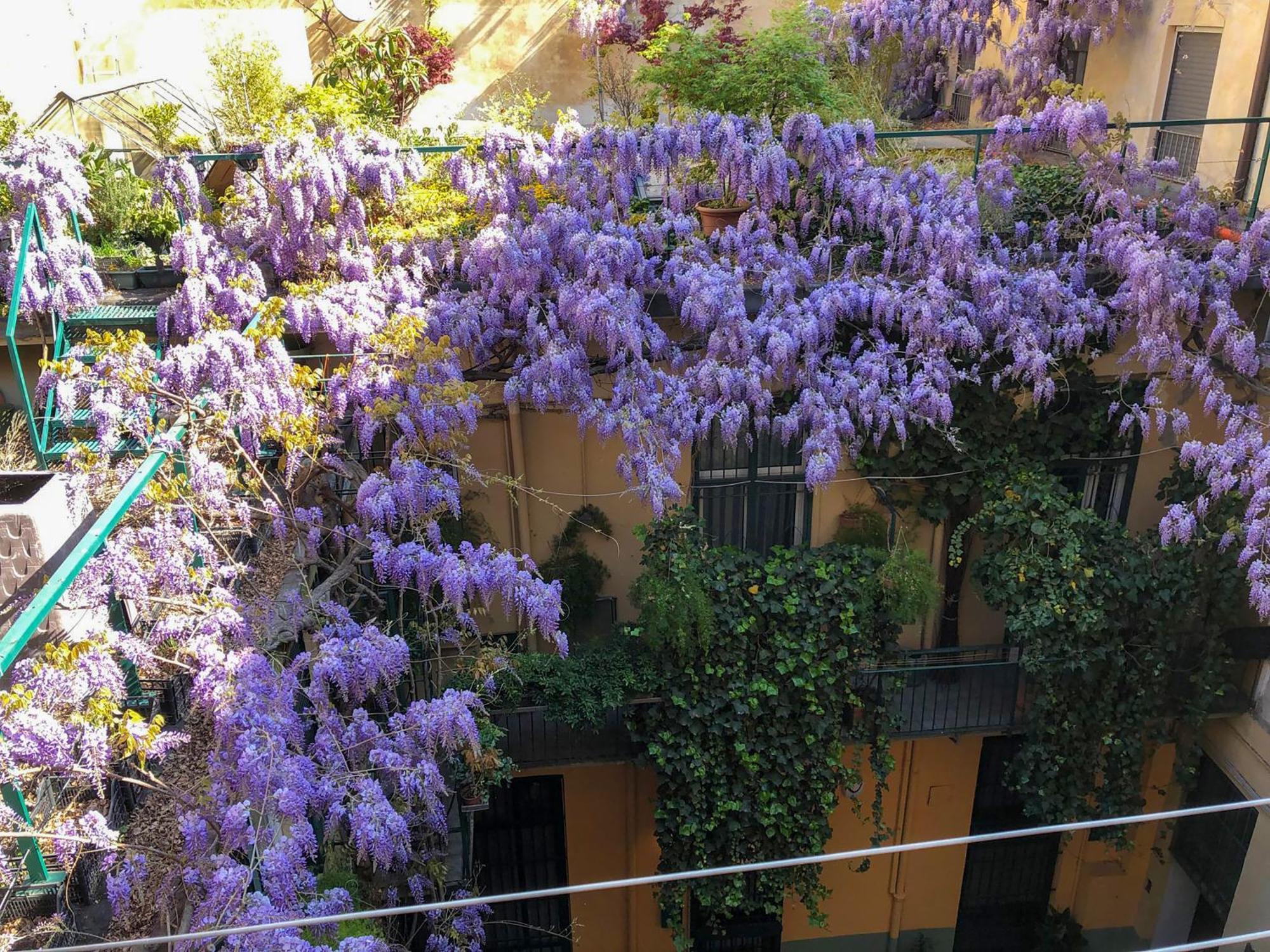 La Casa Degli Angeli Apartment ตูริน ภายนอก รูปภาพ